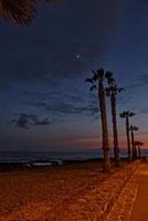 lugna natt landskap på de Strand med handflatan träd av de hav i teneriffa, Spanien foto