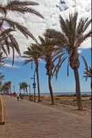 sommar landskap på en solig dag se av en väg med handflatan träd på de Strand av de hav i de terräng av Spanien foto