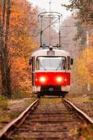 höst skog bland som går en konstig spårvagn foto