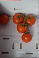 röda mogna tomater foto