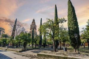 de moské som var byggd när de stad av cordoba belägen i de andalusien område var under de regel av muslims är Begagnade som en mezquita och en kyrka i dag. foto