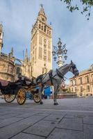 sevilla katedral är de tredje största kyrka i de värld och ett av de skön exempel av gotik och barock arkitektonisk stilar och giralda de klocka torn av är 104,1 meter hög foto