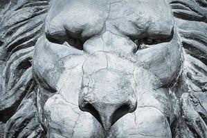 lejon skulptur porträtt av grå sten, närbild foto