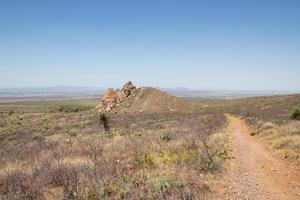 vandring spår på droppande fjädrar naturlig område i las cruces, ny mexico foto