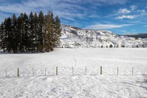 spår i de snö i en fält i de bergen på en vinter- dag foto