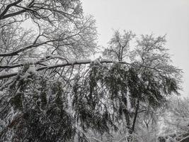 vinter- i de parkera landskap bakgrund foto