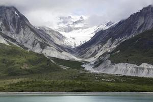 glaciär bukt nationell parkera grön dal i sommar foto