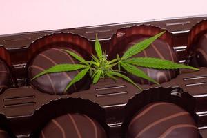 choklad cannabis kakor med thc och cbd extrakt foto