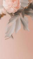 estetisk bohemisk rosa peoner på beige bakgrund foto