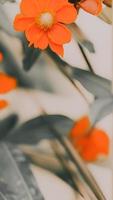 estetisk orange blomma med löv. retro färger, minimalistisk sammansättning foto