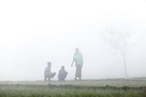 på en dimmig vinter- morgon- scen på ranisankail, thakurgaon. foto