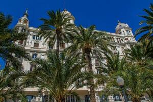 känd byggnad på de hamn av Alicante, Spanien med handflatan träd på en sommar Semester dag foto