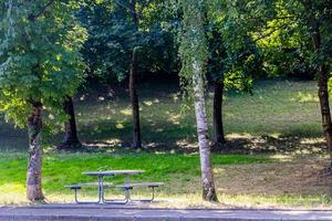 sommar landskap picknick bänk bland de träd i de parkera på en solig dag foto