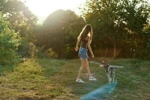 en kvinna kör henne tillbaka till de kamera med en hund i de skog under ett kväll promenad i de skog på solnedgång i höst. livsstil sporter Träning med din älskad hund foto