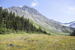 skagway stad övre dewey sjö sommar landskap foto