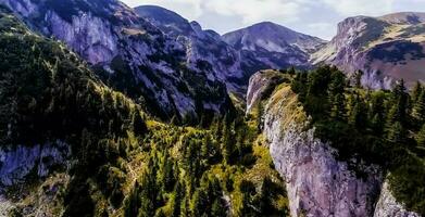 Fantastisk natur tapet - skön landskap foto