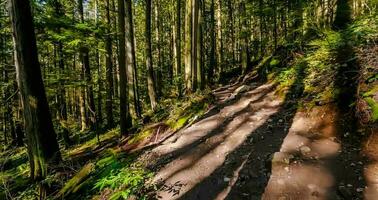 Fantastisk natur tapet - skön landskap foto