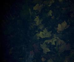 mörk bakgrund med höst grön löv foto