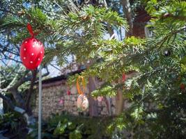 påsk ägg på de träd. traditionell bulgarian nationell dekoration för påsk. foto