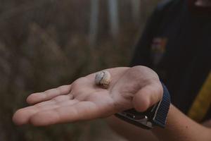 liten snigel på de hand av en pojke närbild foto