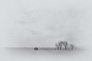 lugn minimalistisk landskap aragon Spanien i vinter- dag foto