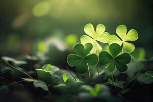 fyra löv klöver i gräs mot suddig naturlig bakgrund. grön klöver löv. St Patrick s dag. vår naturlig bakgrund. generativ ai foto