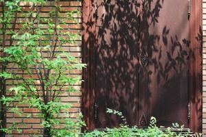 träd skuggor i de trädgård på antik thai stil trä- fönster på tegel vägg. årgång begrepp. foto