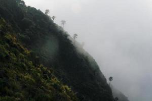 skön landskap naturlig ljus i de morgon- dimma på de berg och de soluppgång lysande till de dimma i skog nordlig av thailand. foto