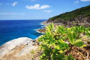 skön paradis i sommar av marinmålning och hav horisont med Yacht båt i lugna hav och blå himmel på sten berg cape.tropical strand växter och djungel ö foto