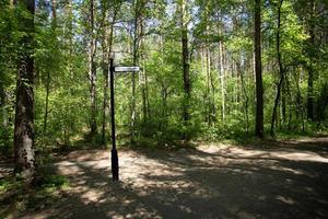 vandring spår i naturlig sommar skog och pelare med inskrift väg av hälsa. foto