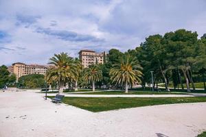 urban landskap med parkera och handflatan träd på en värma solig dag i zaragoza Spanien foto