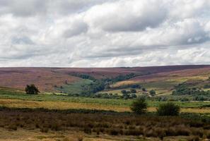 norr yorkshire hedar nationell parkera foto