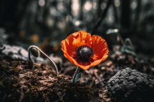 polly blomma i de vild fängslande fotografi av en skön och sällsynt blomma foto