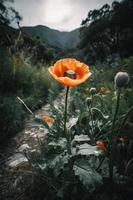 polly blomma i de vild fängslande fotografi av en skön och sällsynt blomma foto