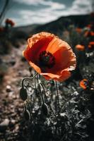 polly blomma i de vild fängslande fotografi av en skön och sällsynt blomma foto