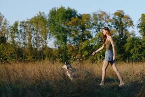 kvinna och henne hes hund lyckligt promenad och springa genom de gräs i de fält leende med tänder falla solnedgång promenad med en sällskapsdjur, resa med en vän hund lycka livsstil foto