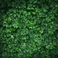 grön löv bakgrund. generera ai foto