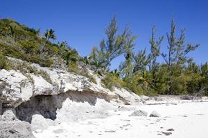 halv måne cay ö eroderade strand stenar och träd foto