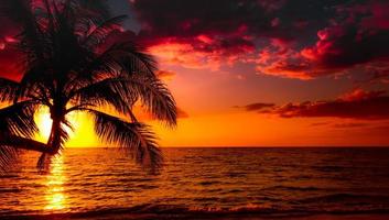 vacker solnedgång tropisk strand med palmträd och rosa himmel för resor och semester i semesteravkopplingstid foto