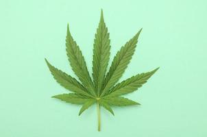 marijuana löv på en tallrik foto