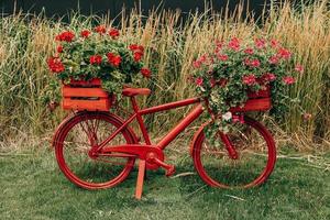 cykel dekorerad med röd pelargoner dekoration i de trädgård foto