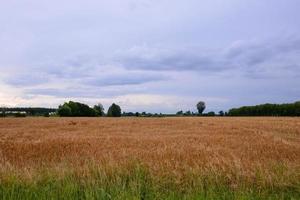 naturskön lantlig landskap foto