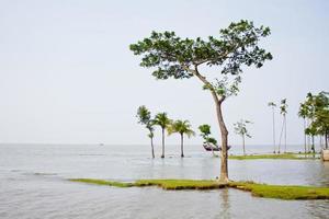 flod erosion scenario av kust bälte bukt av bengalen. foto