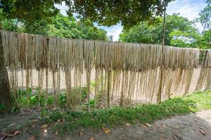 jute fiber är hålls hänga på för Sol torkning på madhabdi, narsingdi, bangladesh. foto