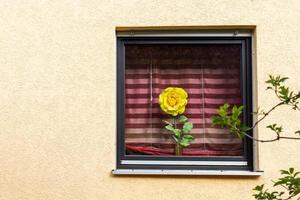 ett artificiell blommor dekoration på en fönster foto