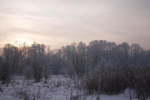 lugn pastell vinter- morgon- med vit snö och svart träd och de Sol genomträngande genom de moln i de himmel foto