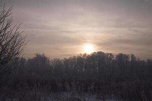 lugn pastell vinter- morgon- med vit snö och svart träd och de Sol genomträngande genom de moln i de himmel foto