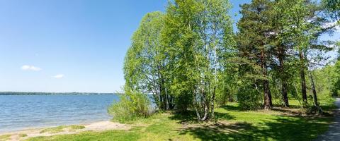 skön sommar landskap med grön träd nära sjö eller flod i solig dag. baner. kopia Plats. foto