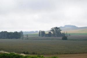 regn över de sumpland foto