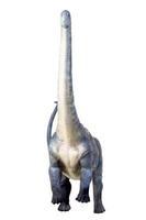 dinosaurie , brontosaurus isolerat bakgrund foto